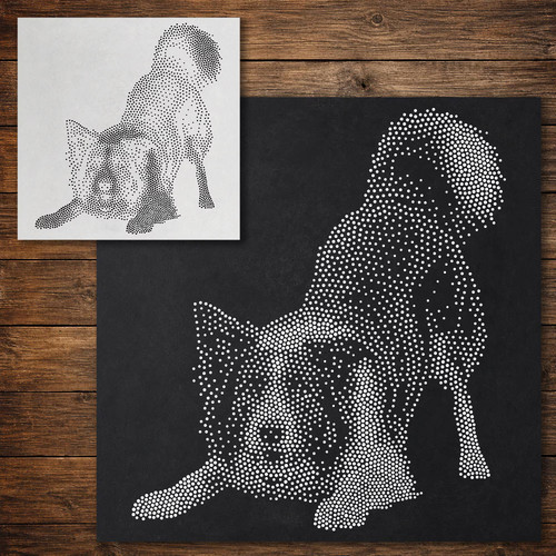 Border collie dog - border,